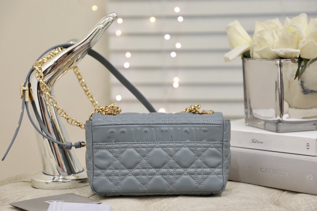 SMALL CARO BAG GRAY SUPPLE CANNAGE CALFSKIN Amelia