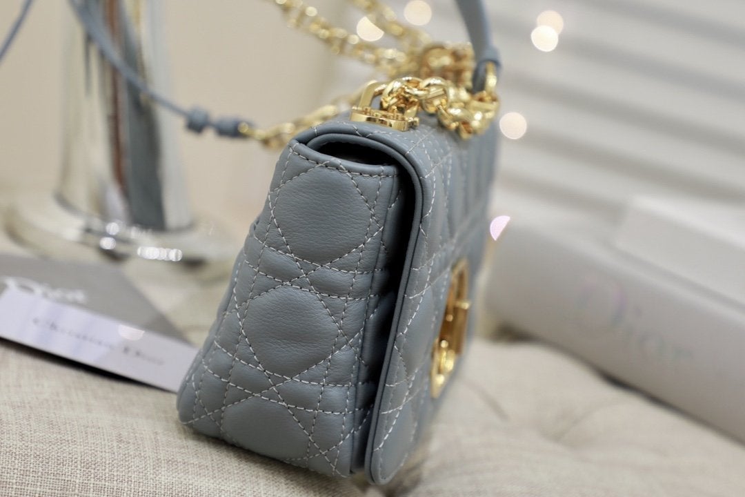 SMALL CARO BAG GRAY SUPPLE CANNAGE CALFSKIN Amelia