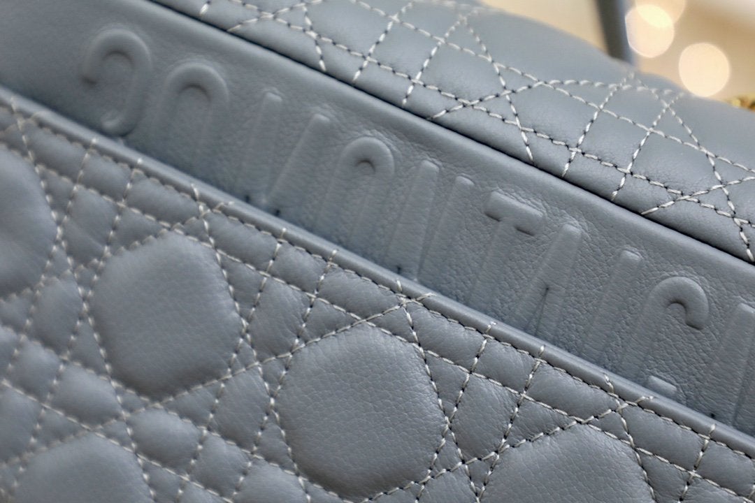 SMALL CARO BAG GRAY SUPPLE CANNAGE CALFSKIN Amelia