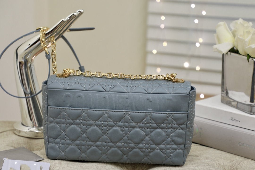 LARGE CARO BAG 28 GRAY SUPPLE CANNAGE CALFSKIN Amelia