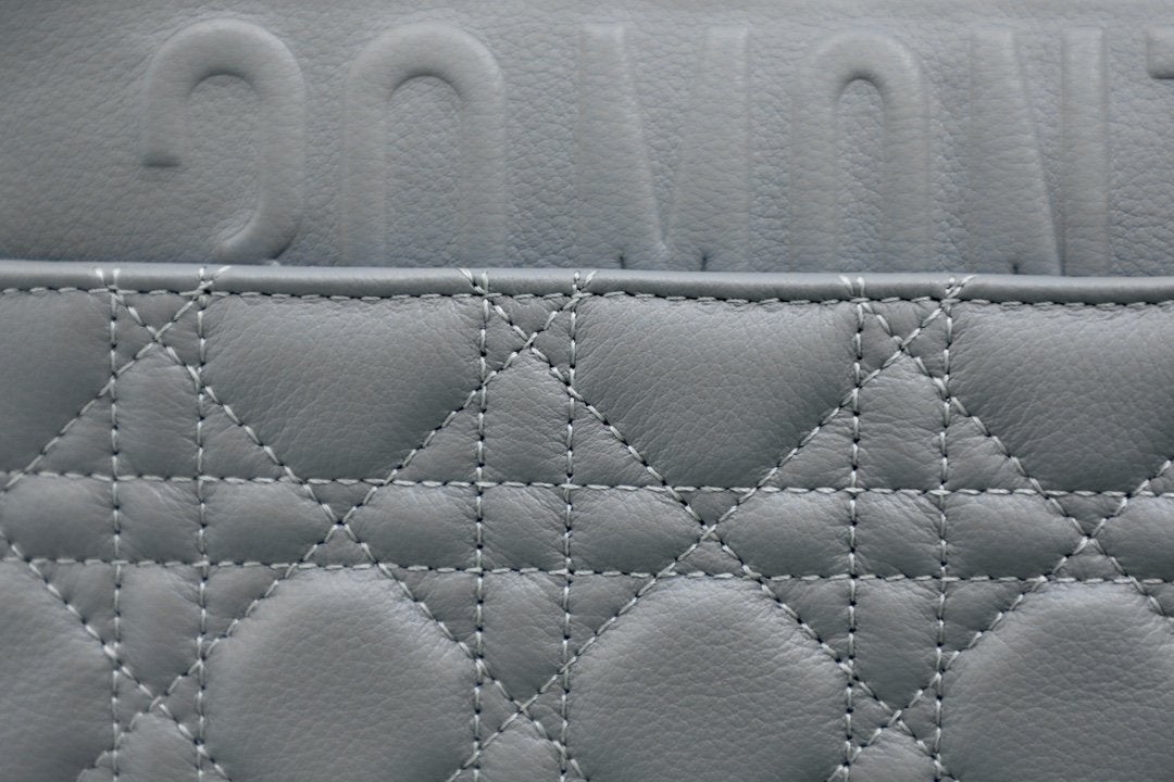 LARGE CARO BAG 28 GRAY SUPPLE CANNAGE CALFSKIN Amelia