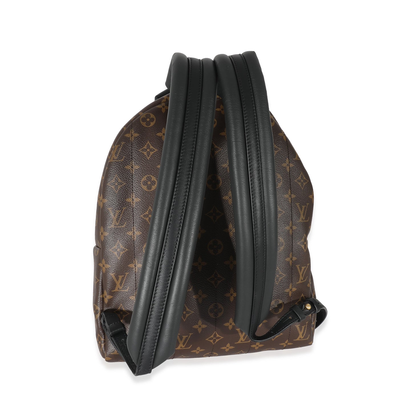 Louis Vuitton Louis Vuitton Monogram Canvas Palm Springs MM
