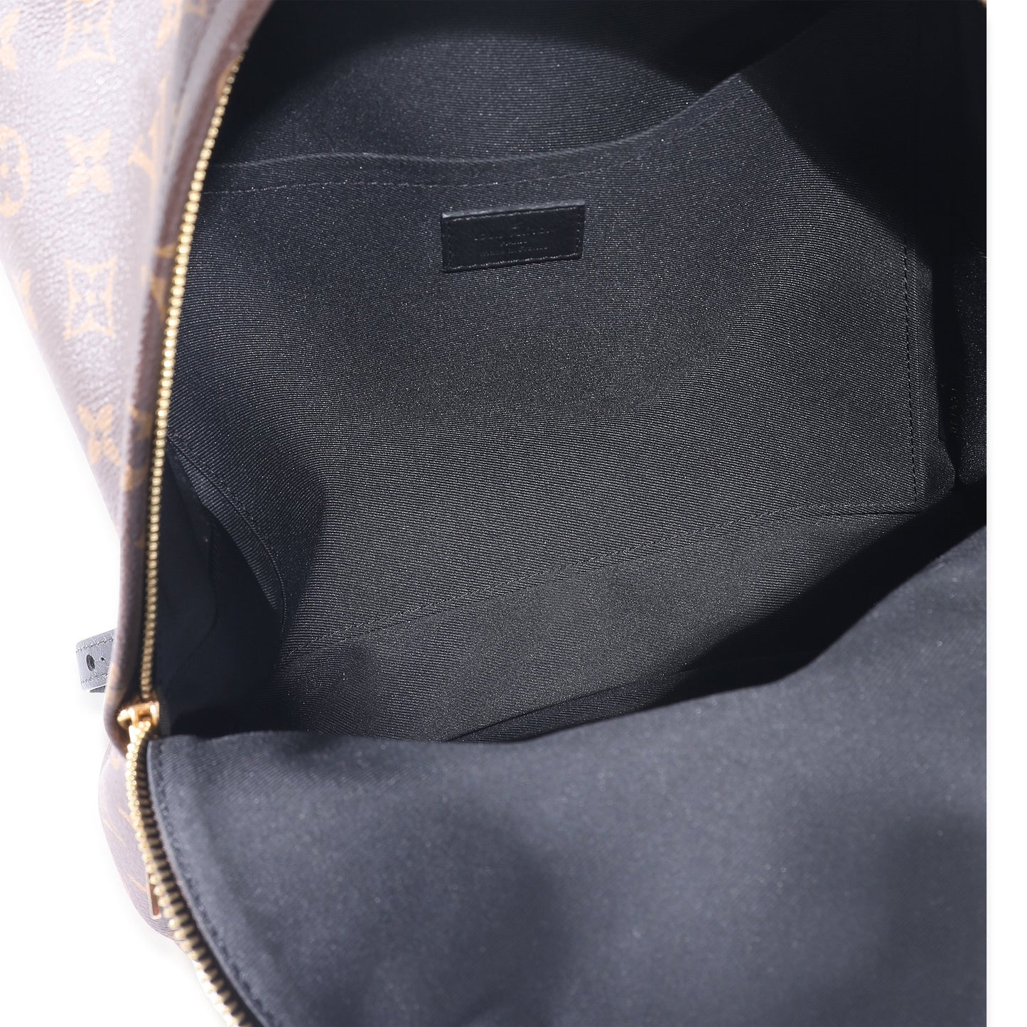 Louis Vuitton Louis Vuitton Monogram Canvas Palm Springs MM