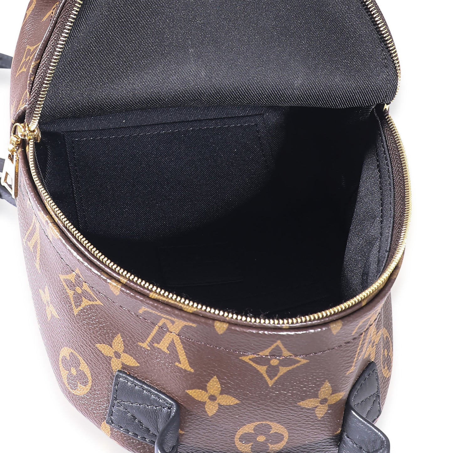 Louis Vuitton Louis Vuitton Monogram Canvas Mini Palm Springs