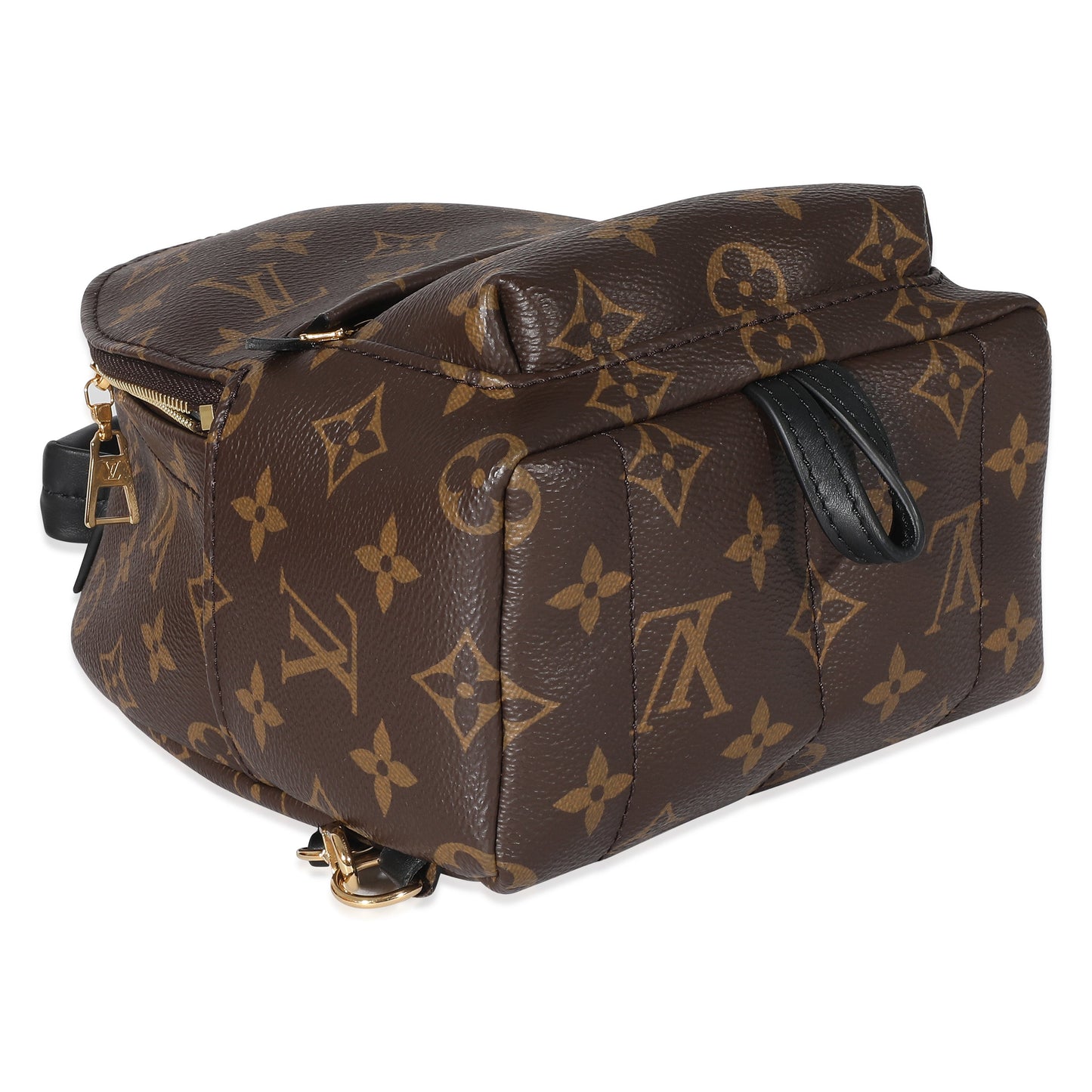 Louis Vuitton Louis Vuitton Monogram Canvas Mini Palm Springs