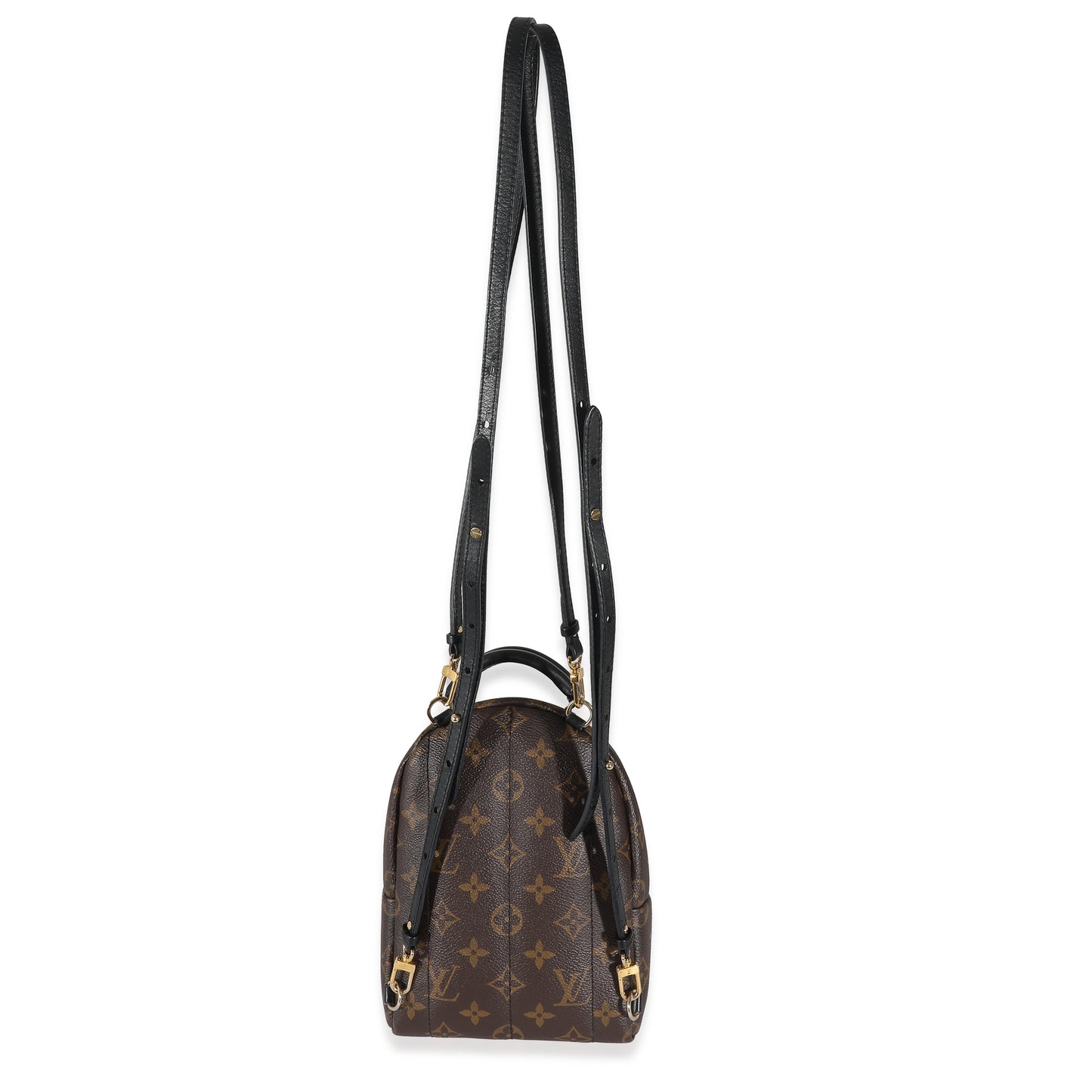 Louis Vuitton Louis Vuitton Monogram Canvas Mini Palm Springs