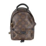 Louis Vuitton Louis Vuitton Monogram Canvas Mini Palm Springs