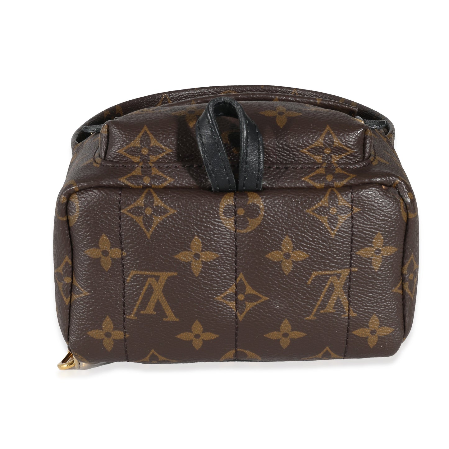 Louis Vuitton Louis Vuitton Monogram Canvas Mini Palm Springs