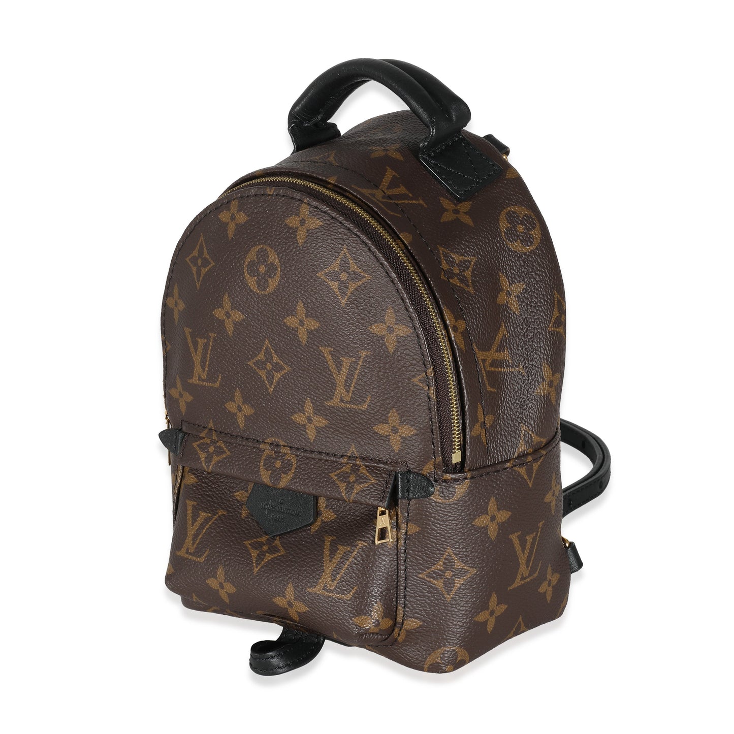Louis Vuitton Louis Vuitton Monogram Canvas Mini Palm Springs