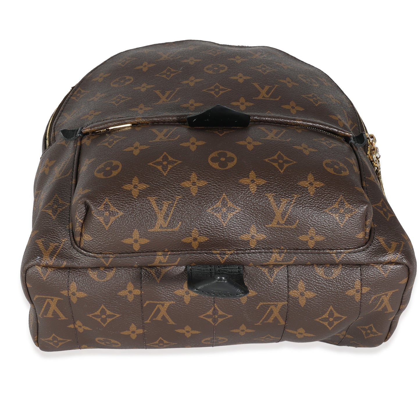 Louis Vuitton Monogram Canvas Palm Springs PM