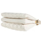 Louis Vuitton Cream Puffy Lambskin Monogram Coussin PM