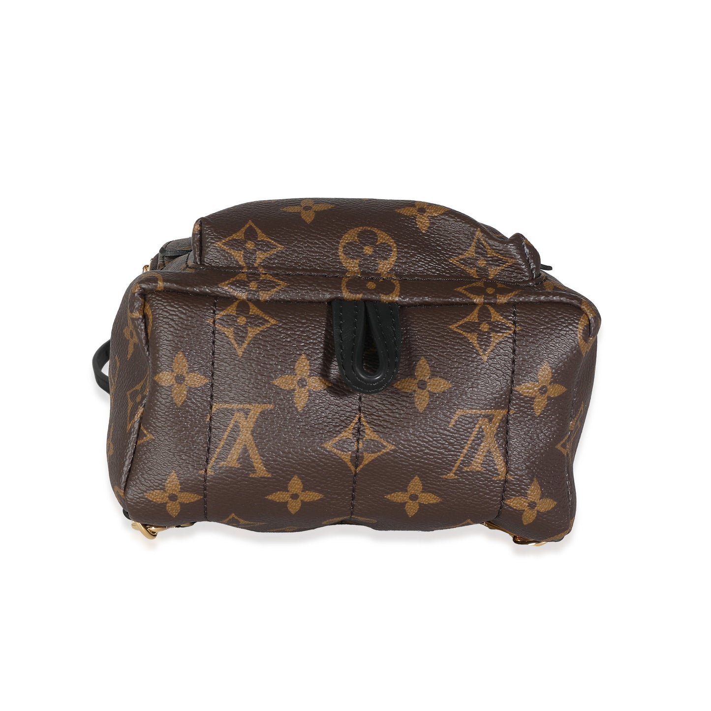 Louis Vuitton Louis Vuitton Monogram Canvas Mini Palm Springs