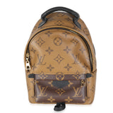 Louis Vuitton Reverse Monogram Canvas Mini Palm Springs