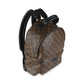 Louis Vuitton Monogram Canvas Palm Springs MM