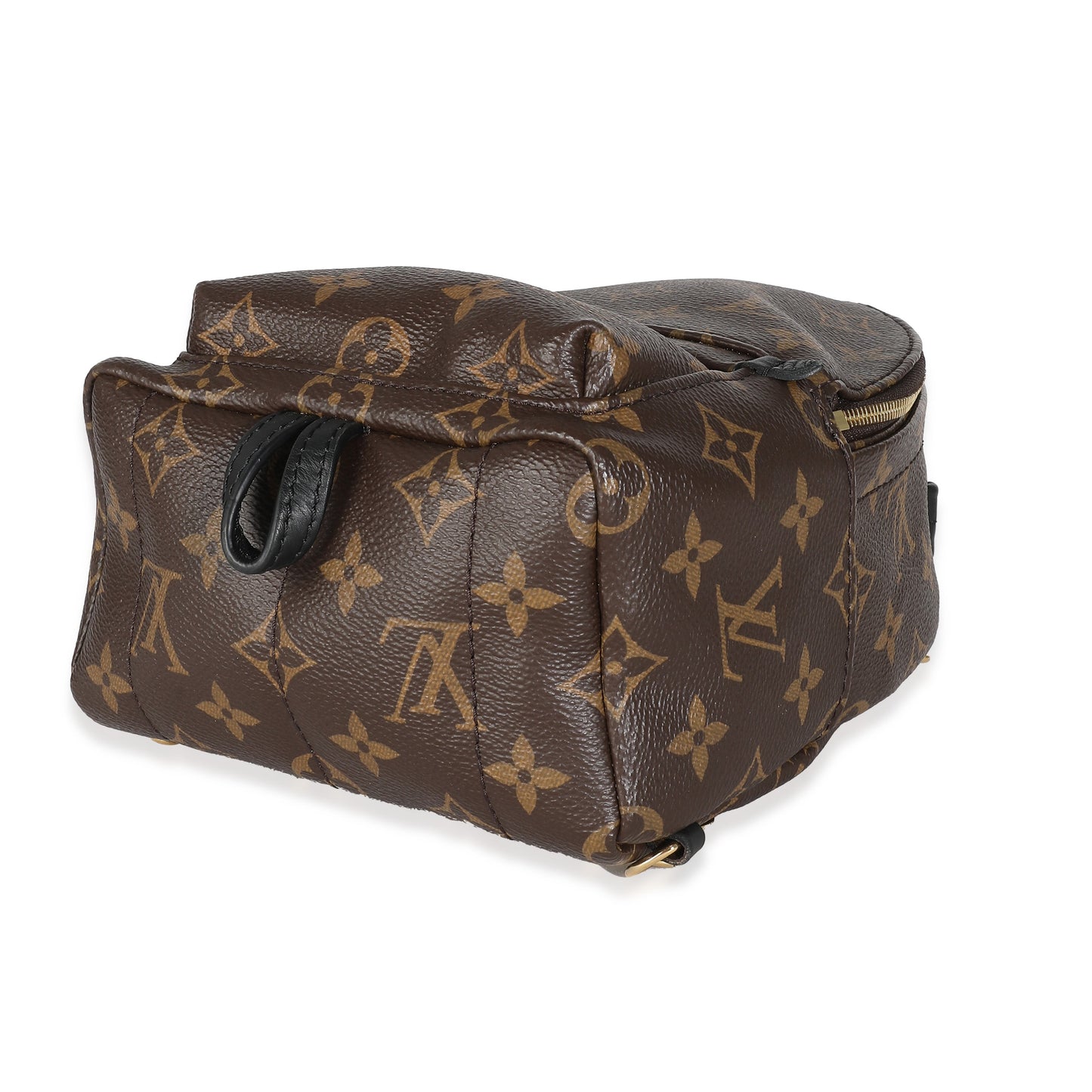 Louis Vuitton Monogram Canvas Mini Palm Springs