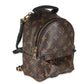 Louis Vuitton Monogram Canvas Mini Palm Springs