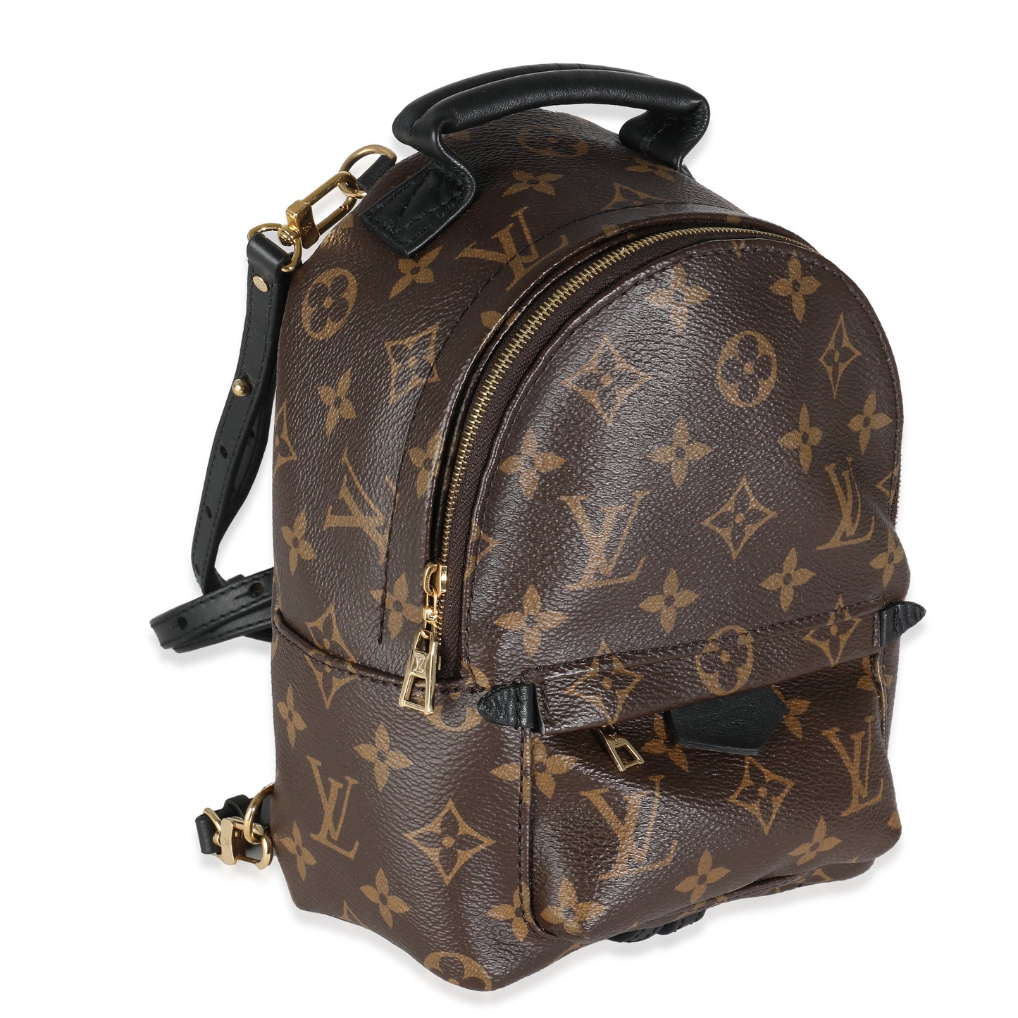 Louis Vuitton Monogram Canvas Mini Palm Springs