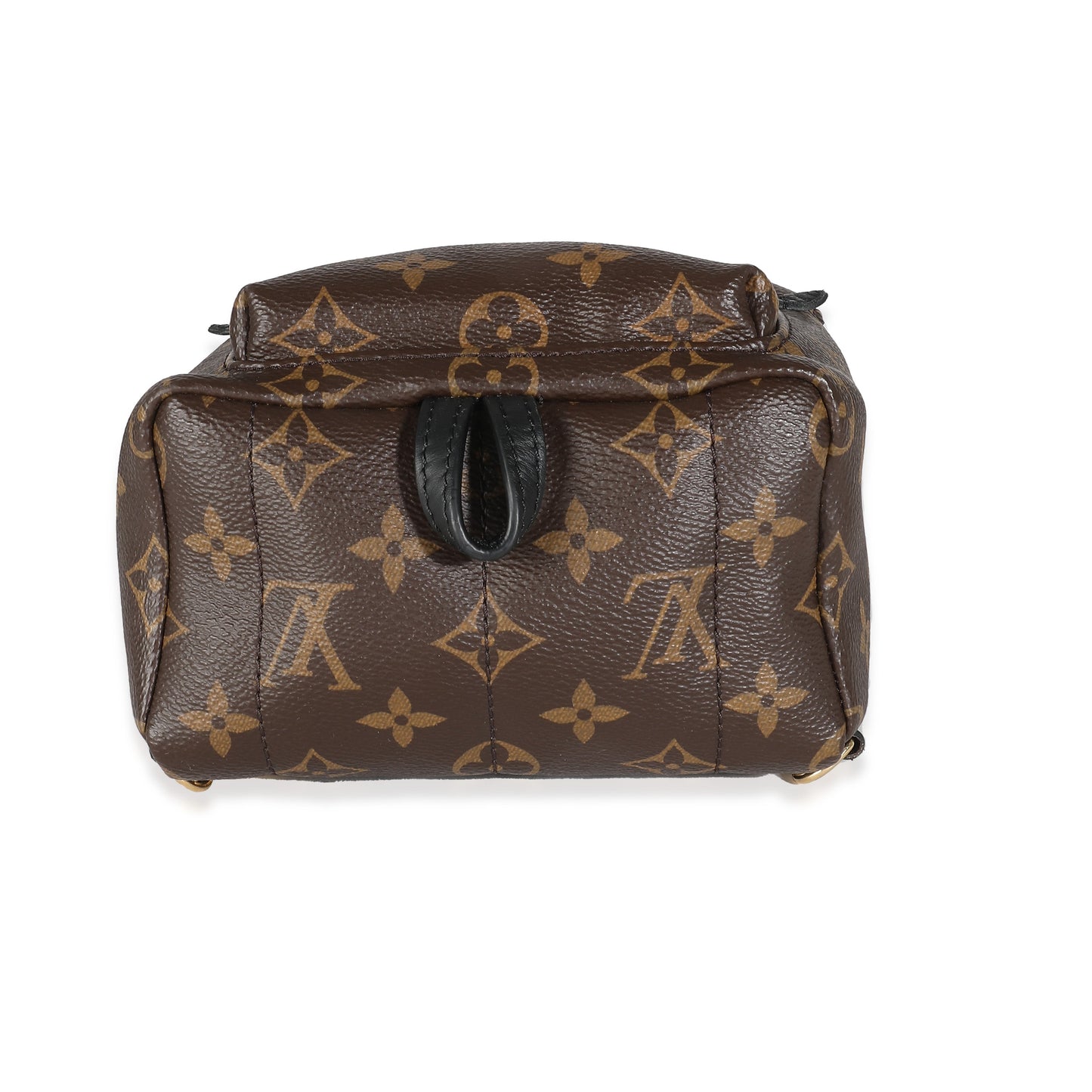 Louis Vuitton Monogram Canvas Mini Palm Springs