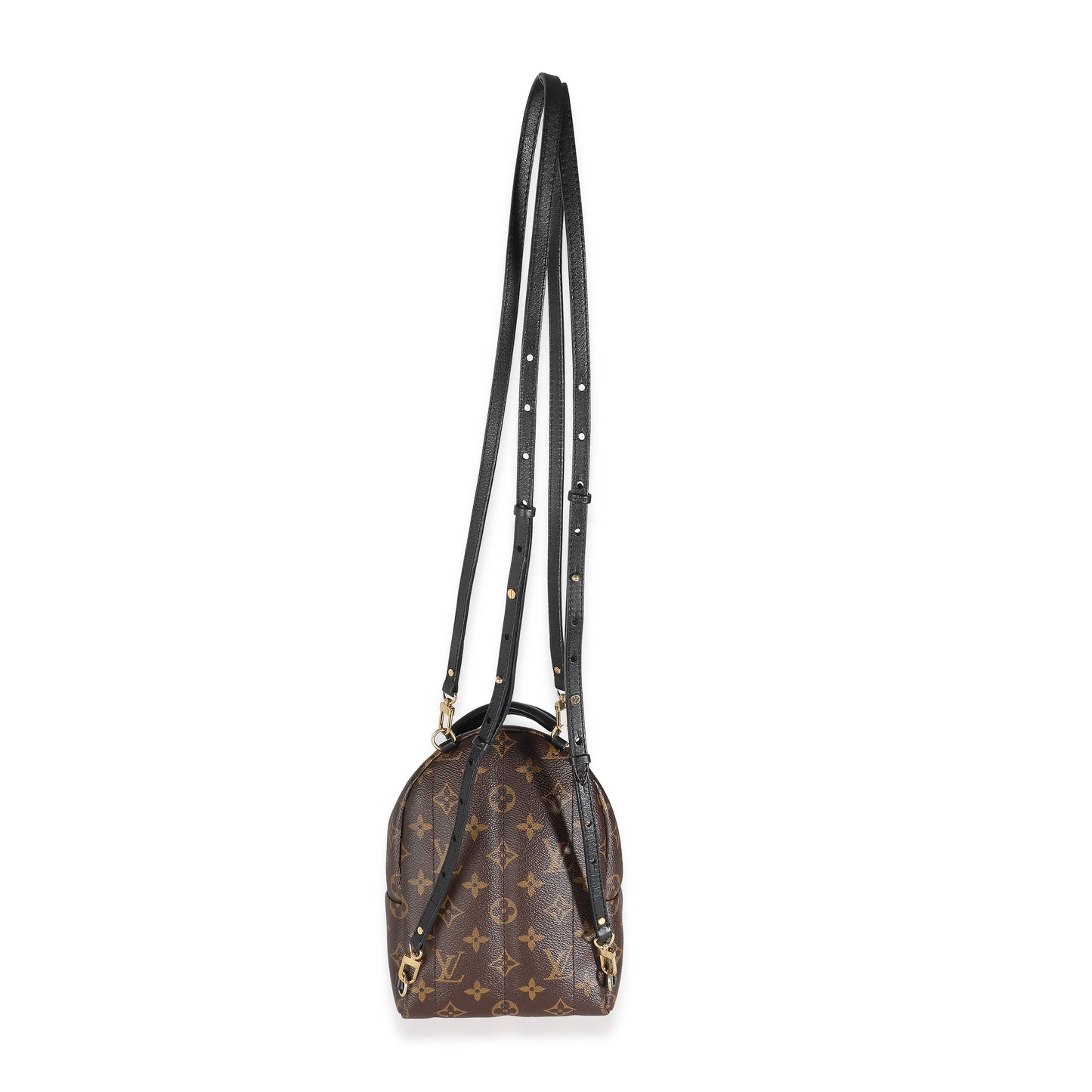 Louis Vuitton Monogram Canvas Mini Palm Springs
