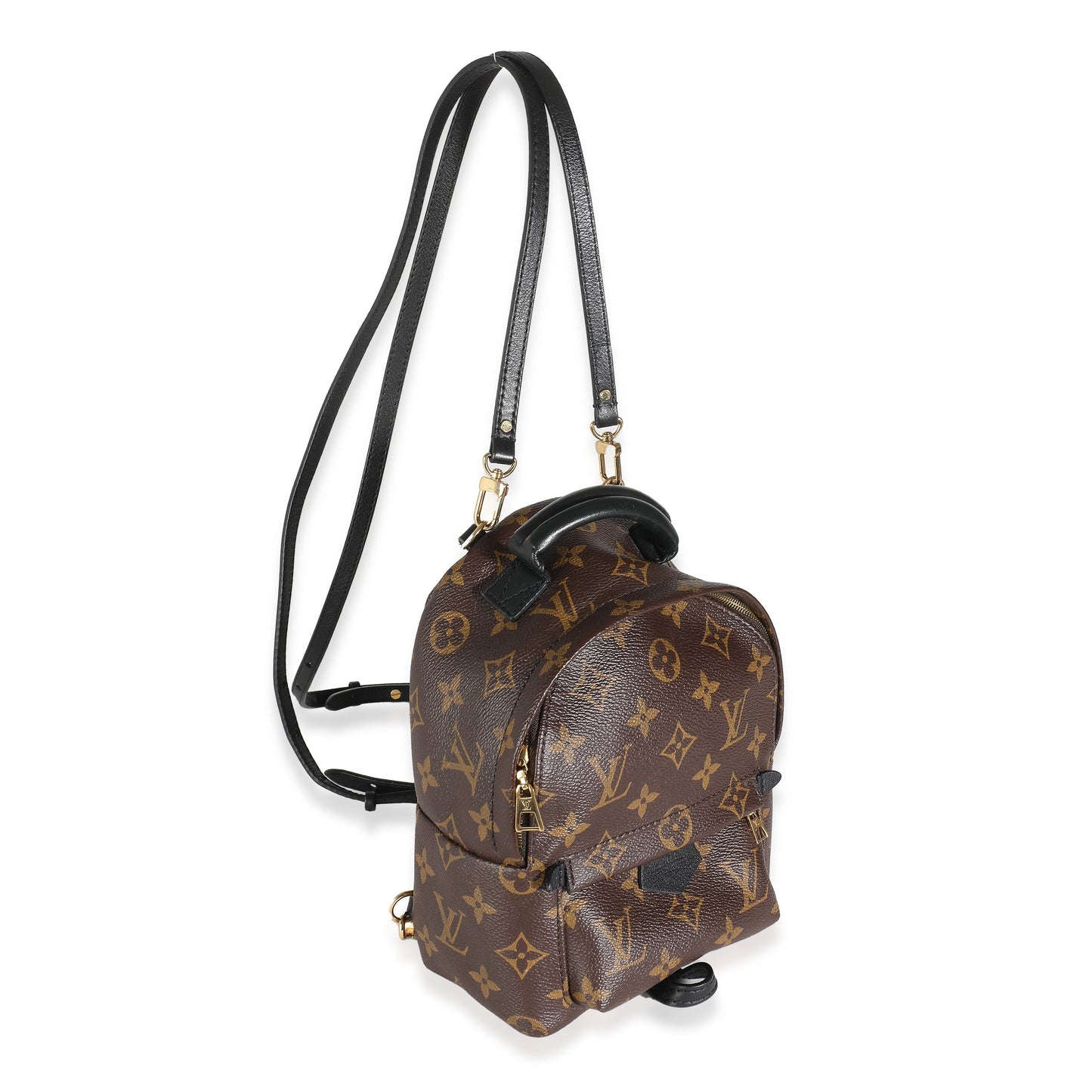 Louis Vuitton Monogram Canvas Mini Palm Springs