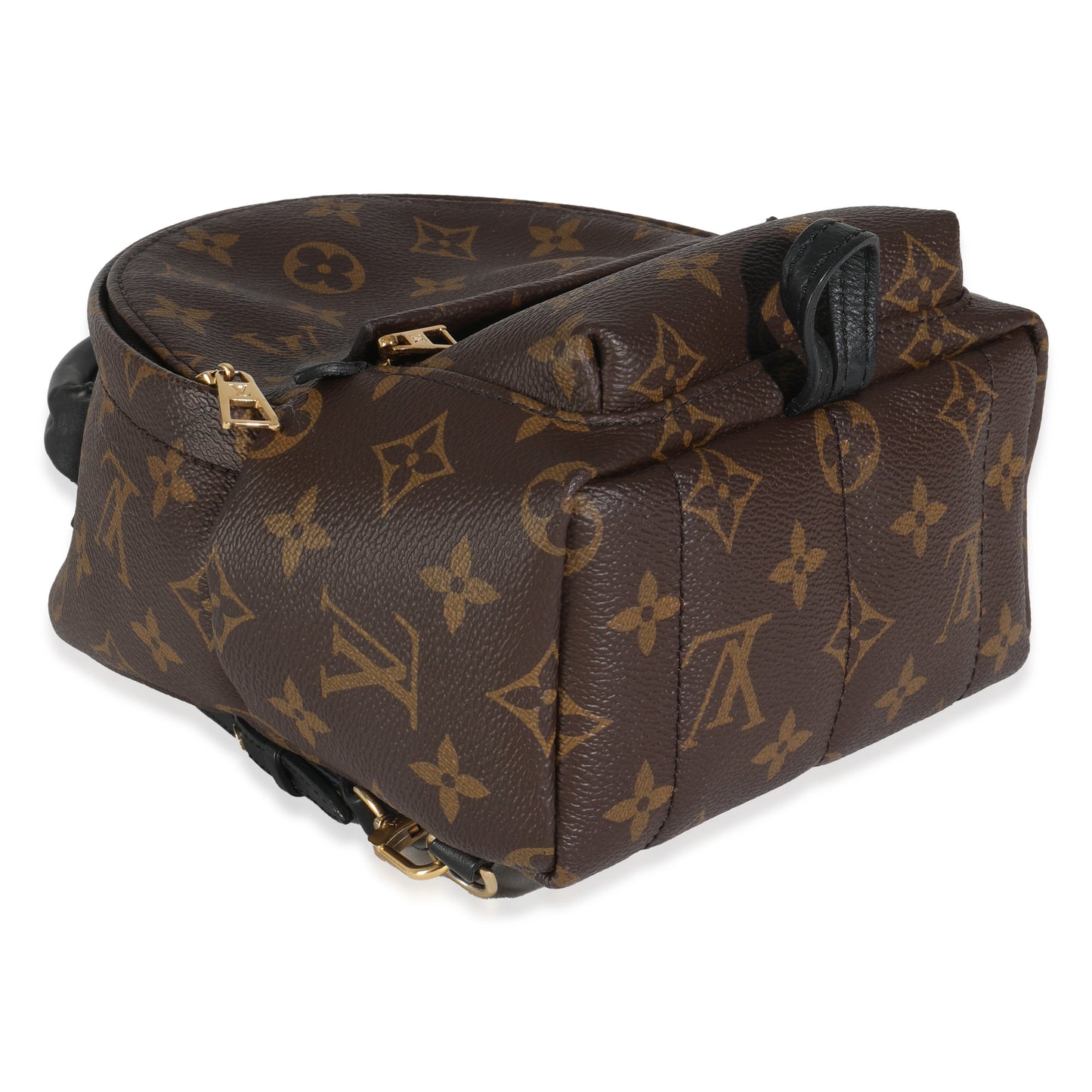 Louis Vuitton Monogram Canvas Mini Palm Springs