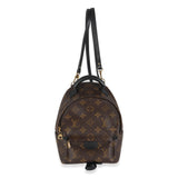 Louis Vuitton Monogram Canvas Mini Palm Springs