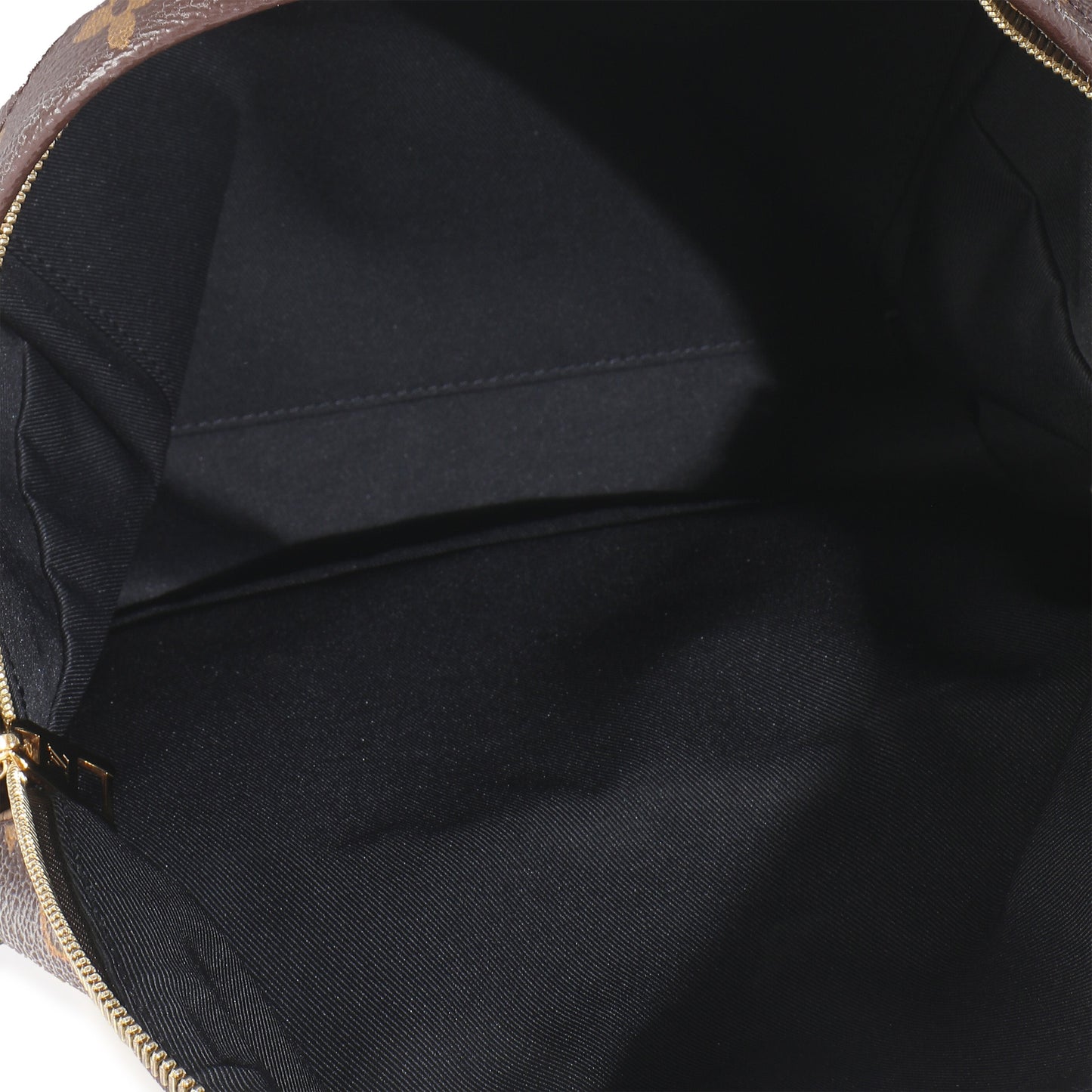 Louis Vuitton Monogram Canvas Palm Springs MM