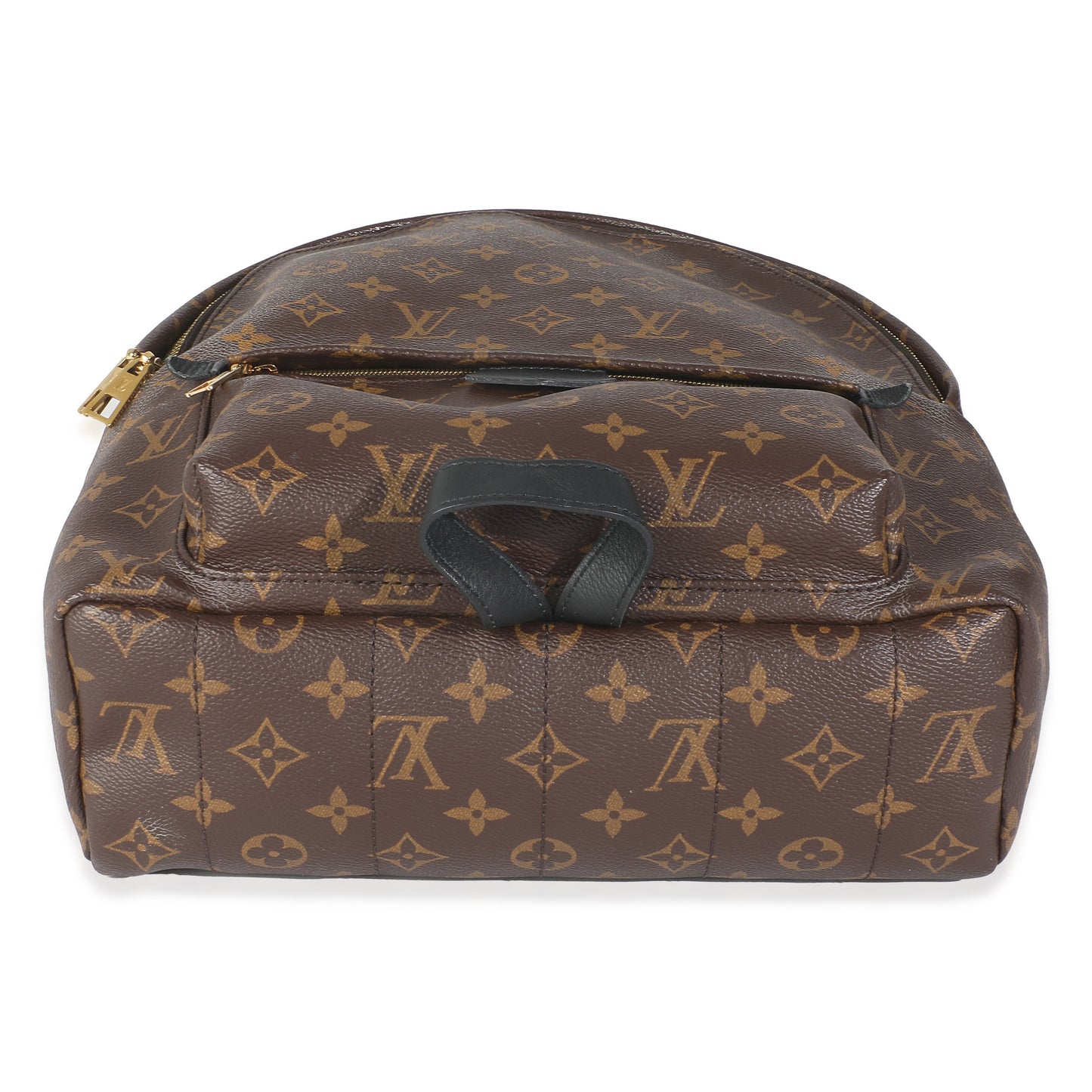 Louis Vuitton Monogram Canvas Palm Springs MM