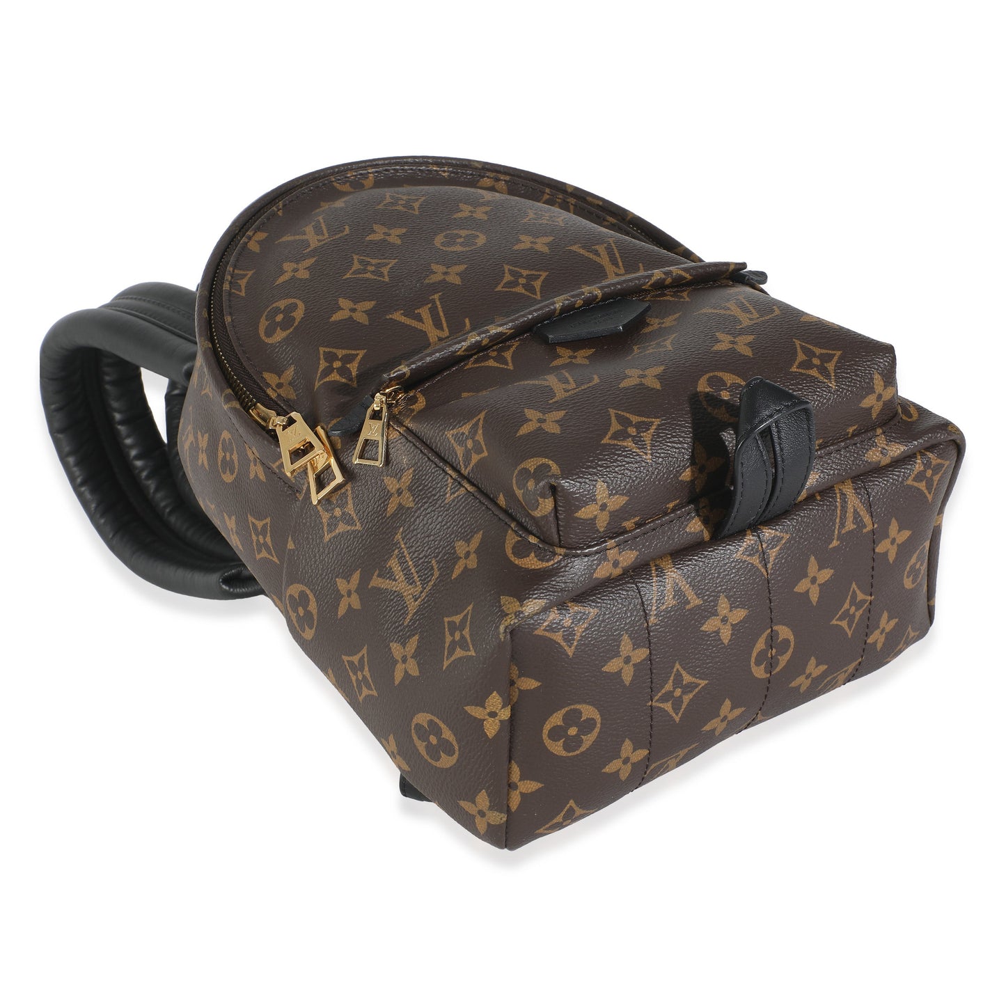 Louis Vuitton Monogram Canvas Palm Springs PM