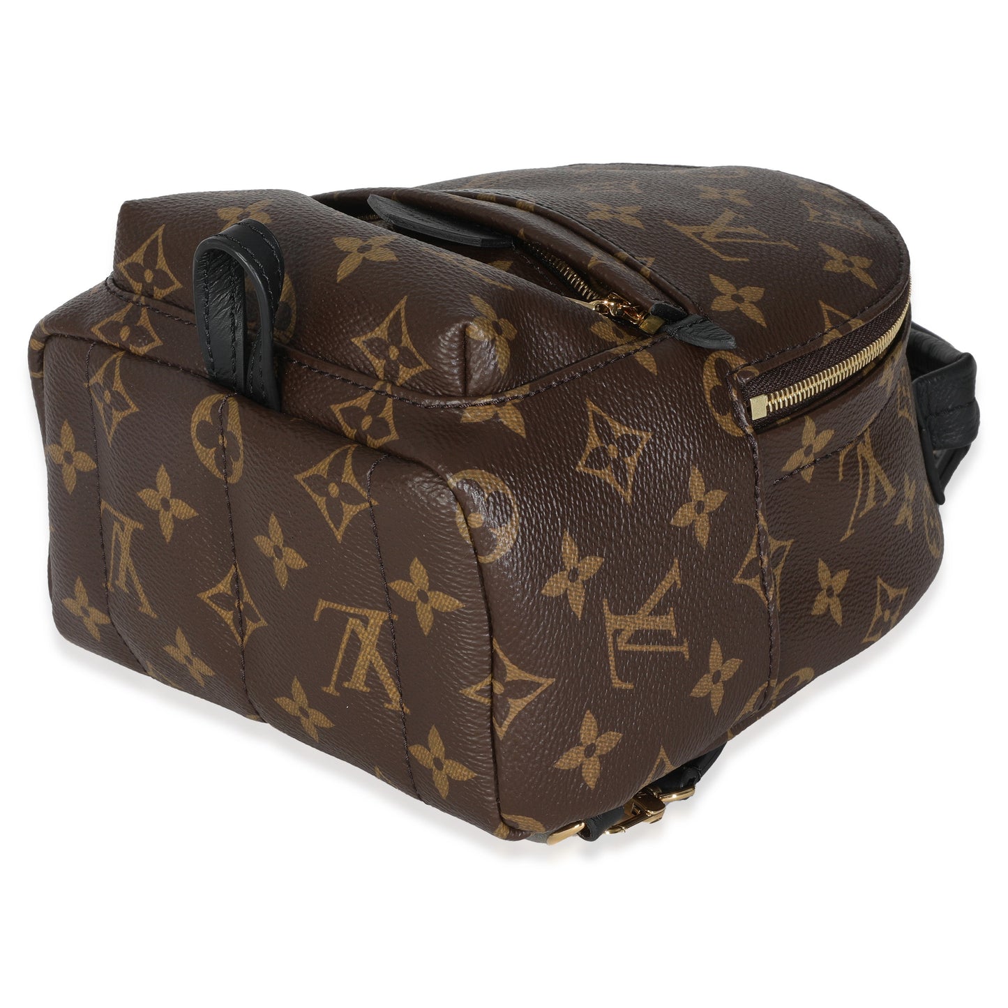 Louis Vuitton Monogram Canvas Mini Palm Springs