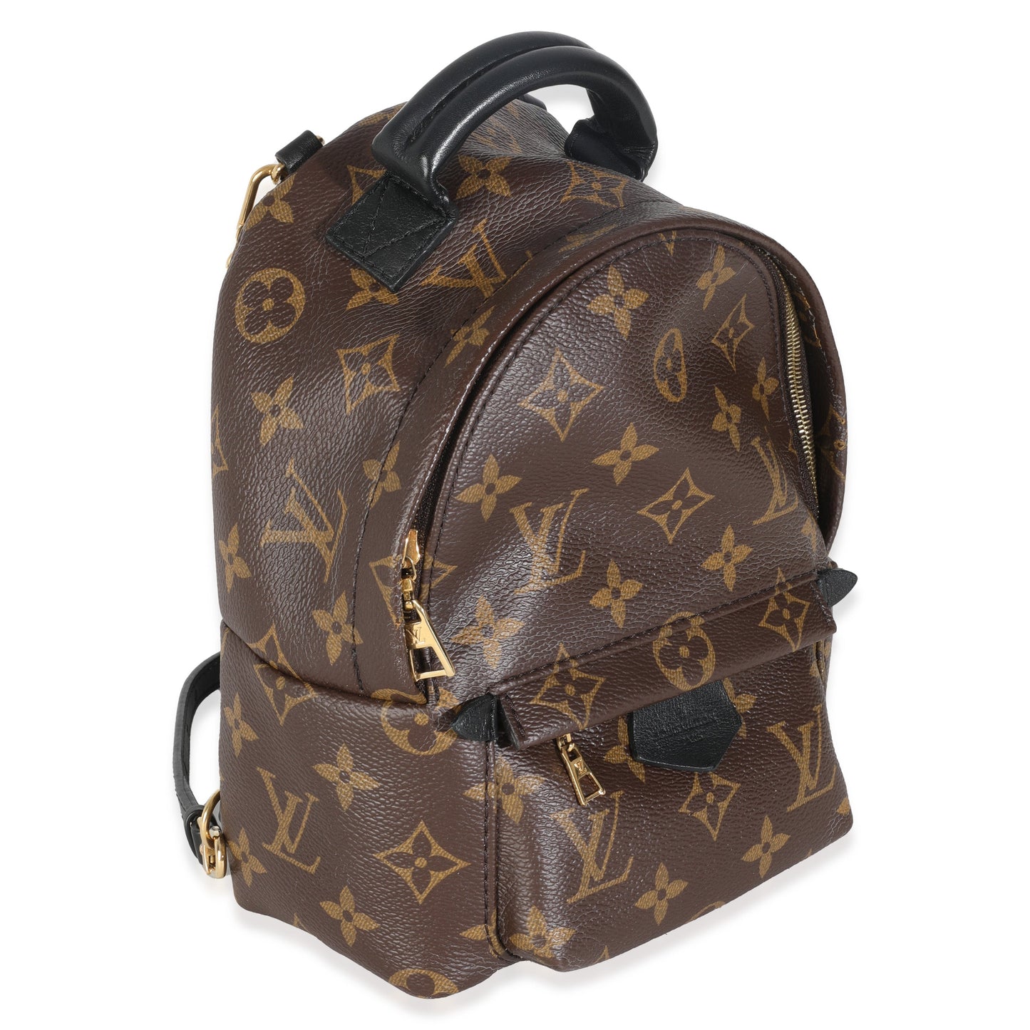 Louis Vuitton Monogram Canvas Mini Palm Springs