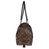 Louis Vuitton Monogram Canvas Mini Palm Springs Backpack