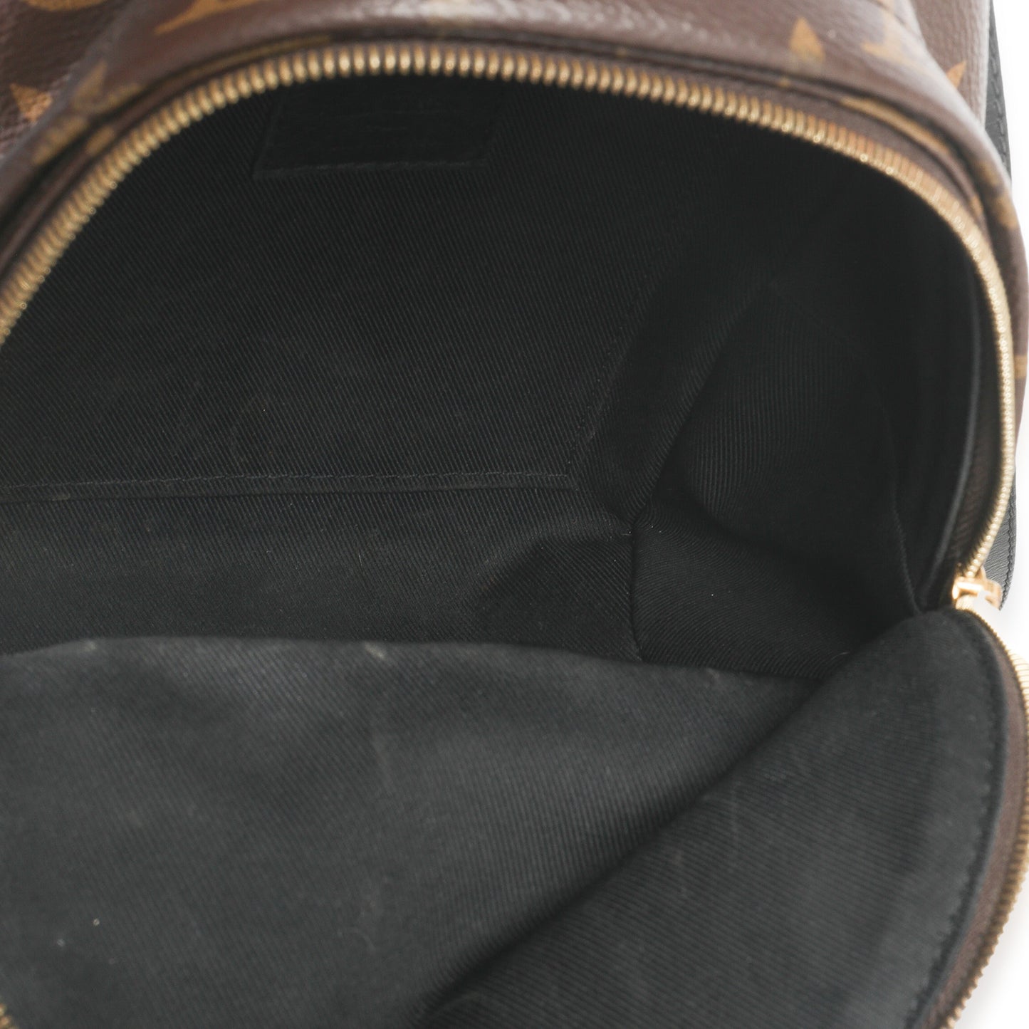Louis Vuitton Monogram Canvas Mini Palm Springs