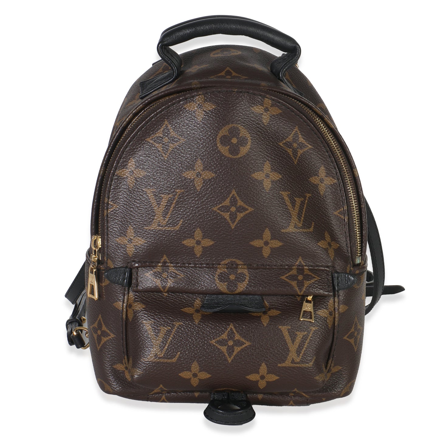 Louis Vuitton Monogram Canvas Mini Palm Springs