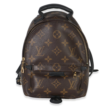 Louis Vuitton Monogram Canvas Mini Palm Springs