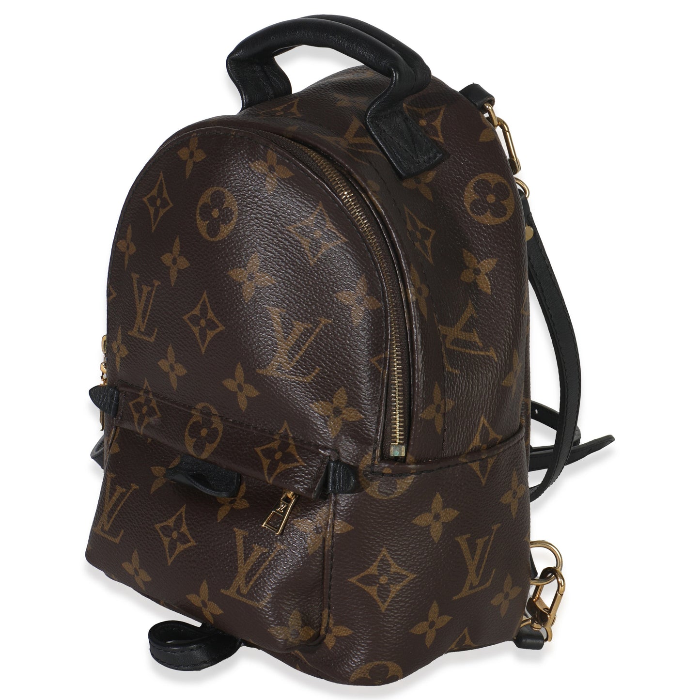 Louis Vuitton Monogram Canvas Mini Palm Springs