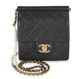 Chanel Black Quilted Goatskin Vertical Chic Pearls Flap Bag