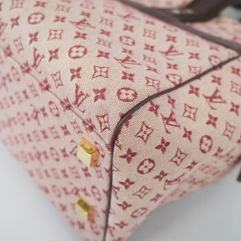 Louis Vuitton Monogram Mini Josephine GM  Handbag