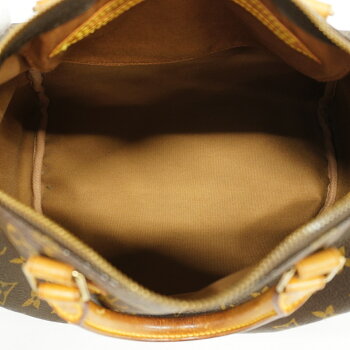 Louis Vuitton Monogram Speedy Handbag