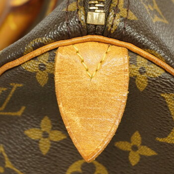 Louis Vuitton Monogram Speedy Handbag