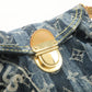 Louis Vuitton Monogram Denim Mini Pleaty Raye Shoulder Bag M95333