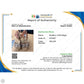 Sandals Luxury Designer By Burberry In Plaid Pattern, Size: 5.5