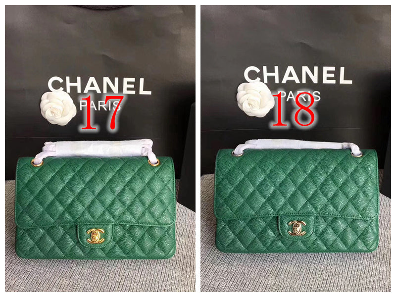 Amelia - CHL Lady Bags - 649