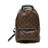 Louis Vuitton Palm Springs Monogram Backpack