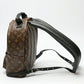 Louis Vuitton Palm Springs Monogram Backpack