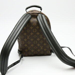 Louis Vuitton Palm Springs Monogram Backpack