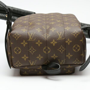 Louis Vuitton Palm Springs Monogram Backpack