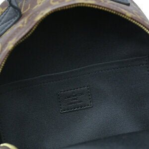 Louis Vuitton Palm Springs Monogram Backpack