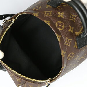 Louis Vuitton Palm Springs Monogram Backpack