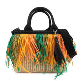 PRADA Wicker Canvas Basket Bag Beige Multicolor Silver HDW 1BG835  d